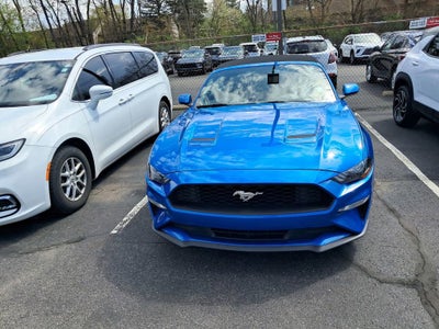 2019 Ford Mustang EcoBoost