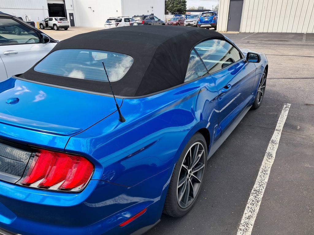 2019 Ford Mustang EcoBoost