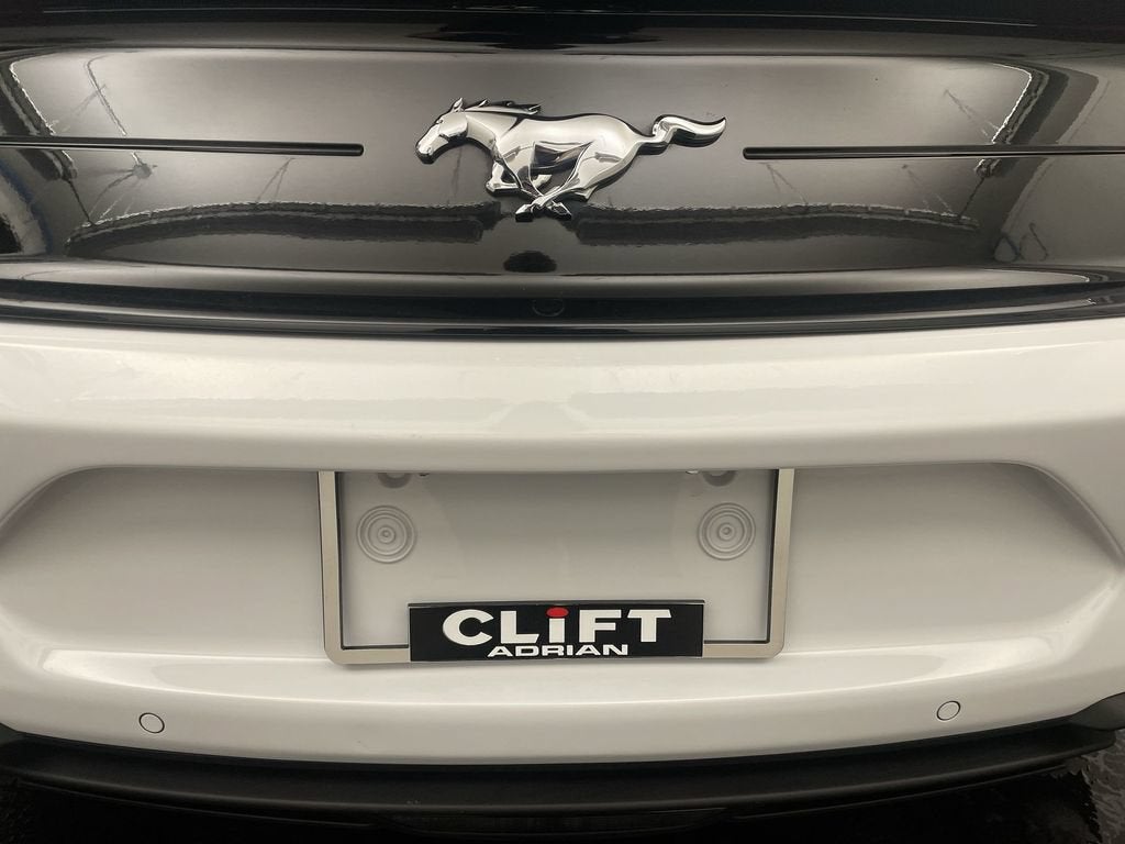 2020 Ford Mustang EcoBoost Premium Convertible