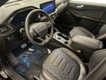 2024 Ford Escape ST-Line Elite
